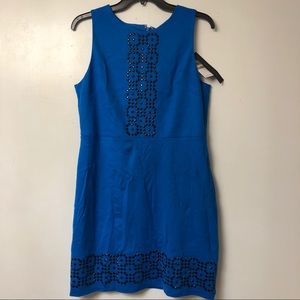 NWT Cynthia Steffe Blue Embellished Dress size 12